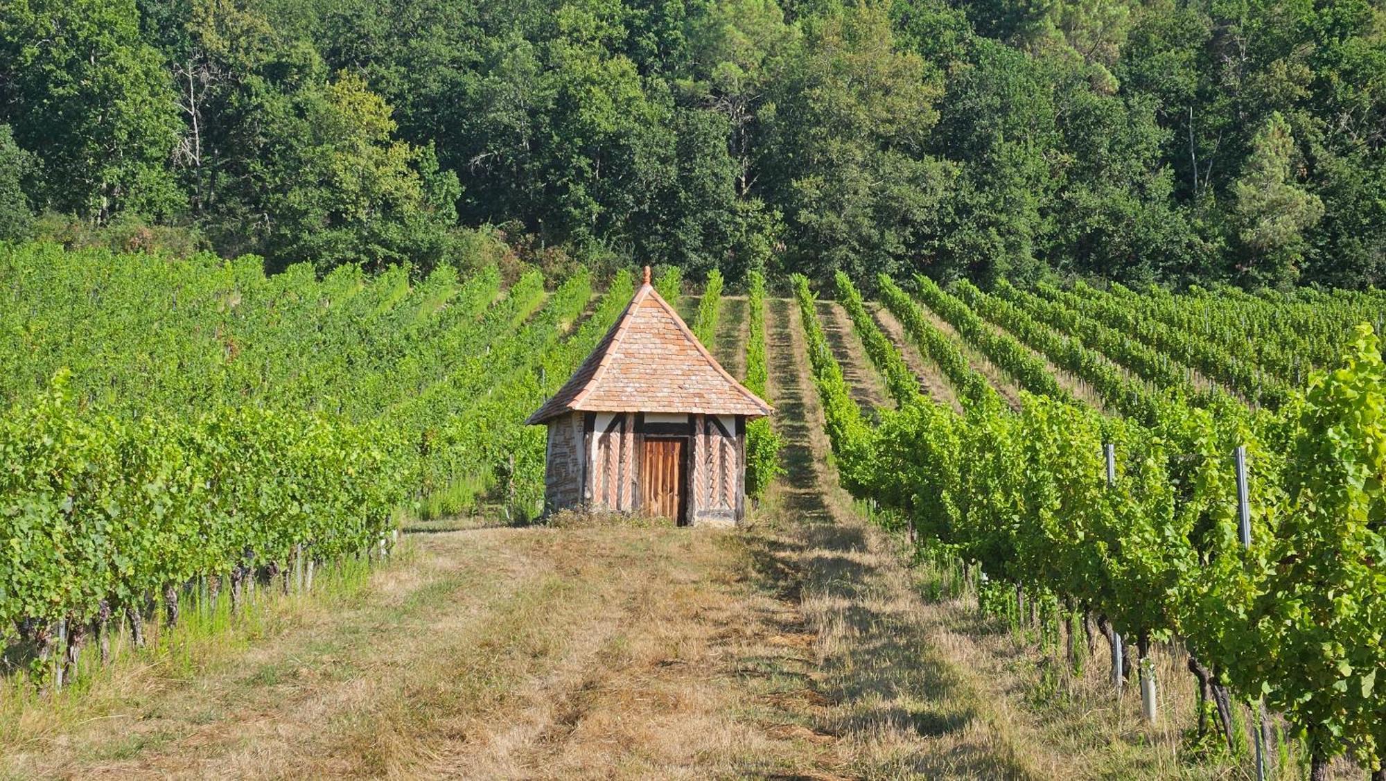 Chambres Et Gites Les Deux Chenes Pres De Bergerac Le Fleix Exterior photo